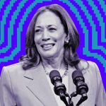 Kamala Harris’ VC supporters elevate 0,000 on a Zoom name