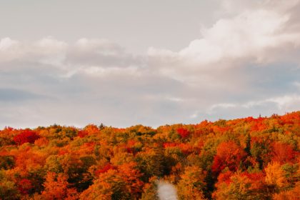 The Final Information to New England’s Finest Fall Foliage Spots: 20 Locations and Hidden Gems You Should Go to