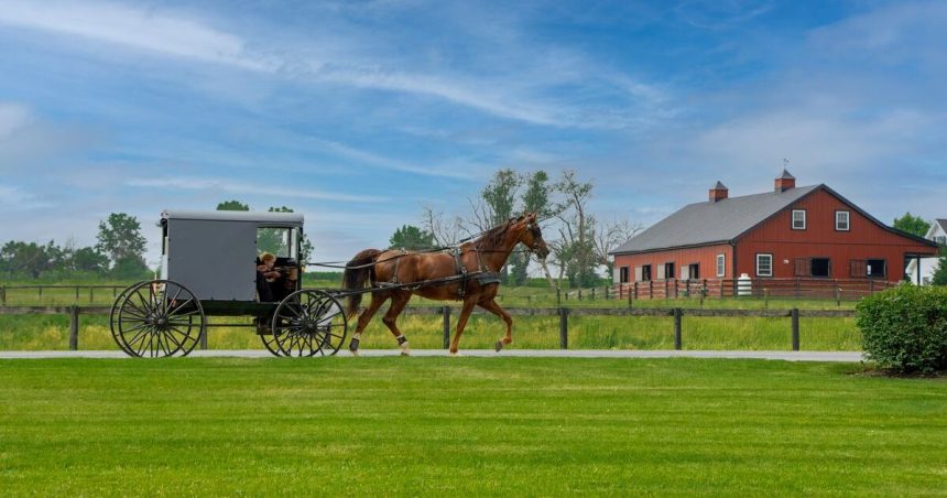 Issues To Do In Amish Nation – Lancaster, PA